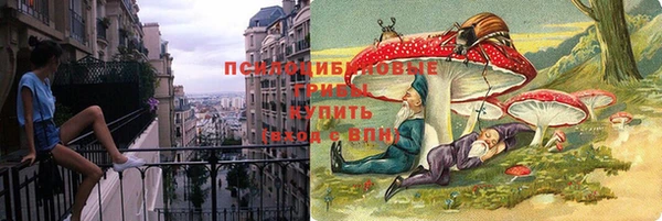 тгк Надым