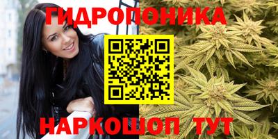apvp Балашиха