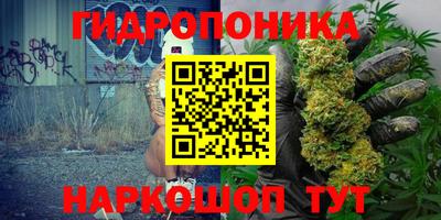 PSILOCYBIN Будённовск