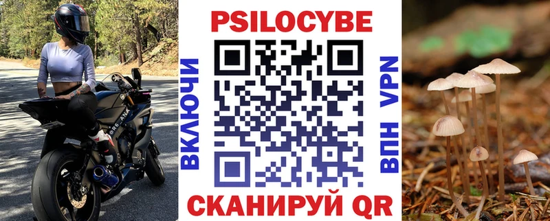 Псилоцибиновые грибы Psilocybe Саратов