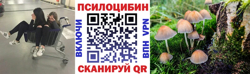 Псилоцибиновые грибы прущие грибы купить закладку Саратов