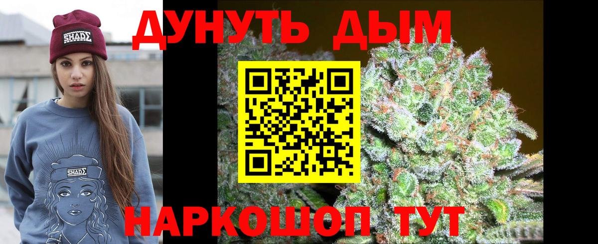 Бошки Шишки планчик  Вход с VPN  Бошки Шишки SATIVA & INDICA  Саратов 
